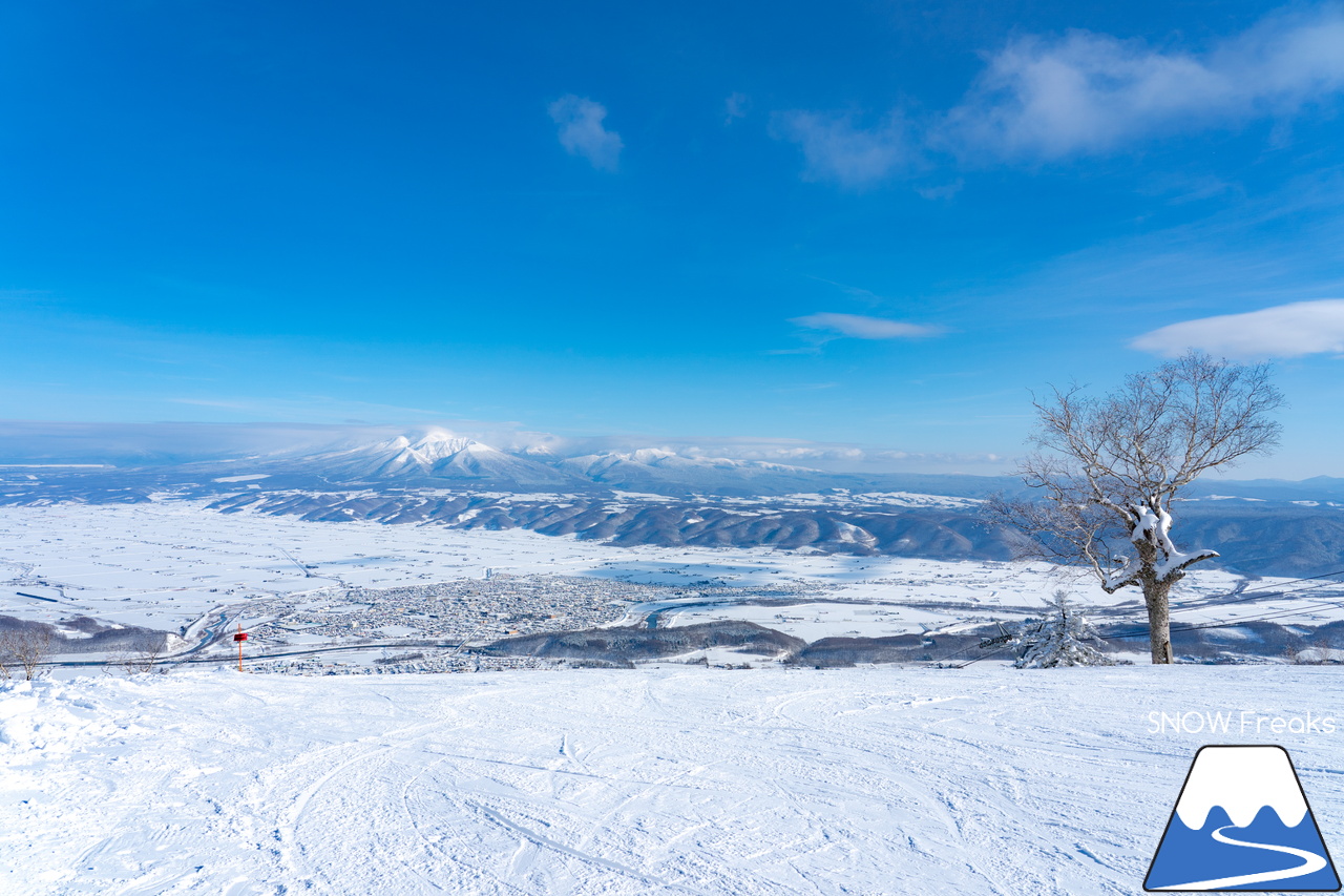 富良野スキー場｜朝の気温は「-17℃」。ふわサラの『bonchi powder』シーズン到来です！